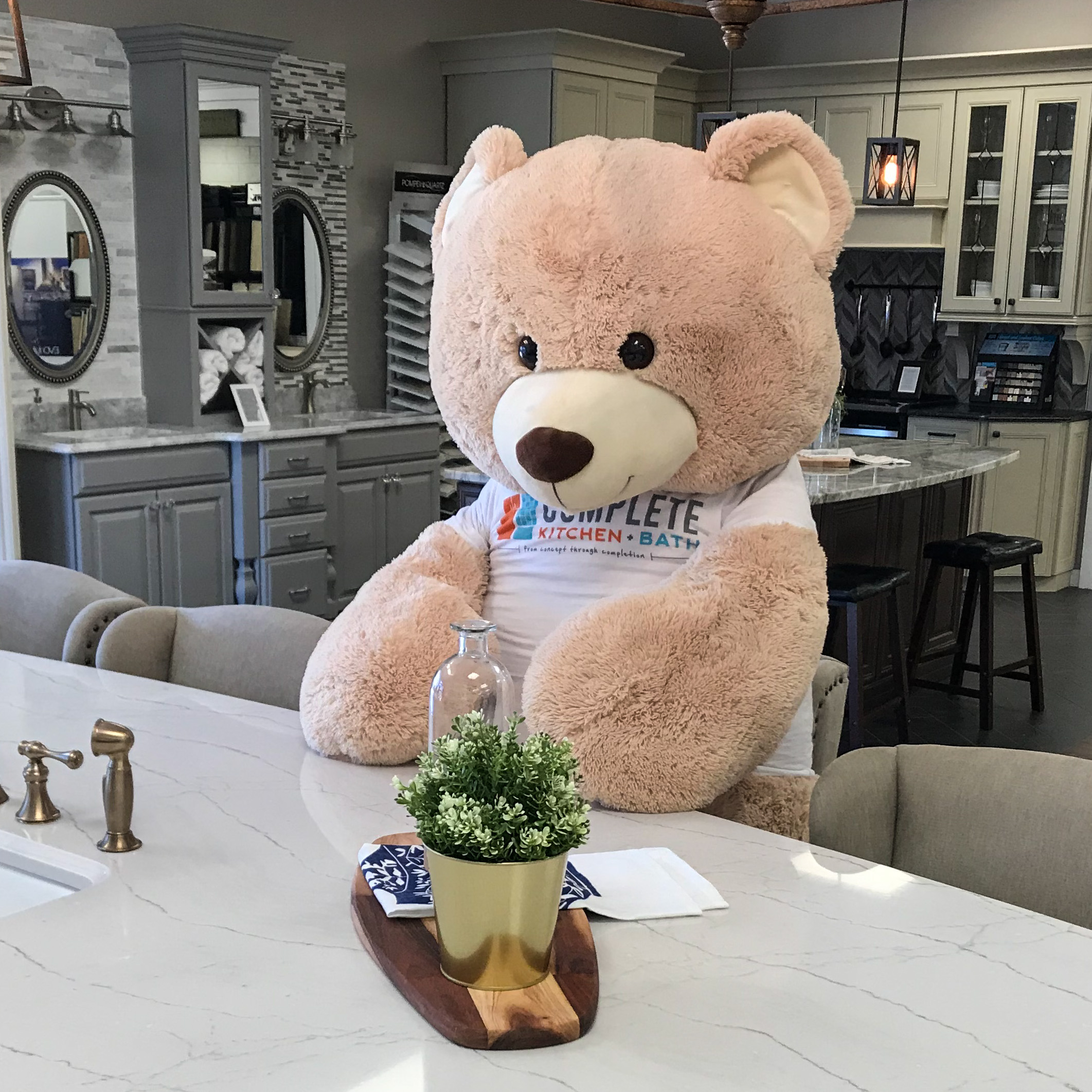 Complete Kitchen and Bath Team Member Bear of Bad News